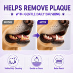 Vvhomife dual ended pet dental cleaning tool