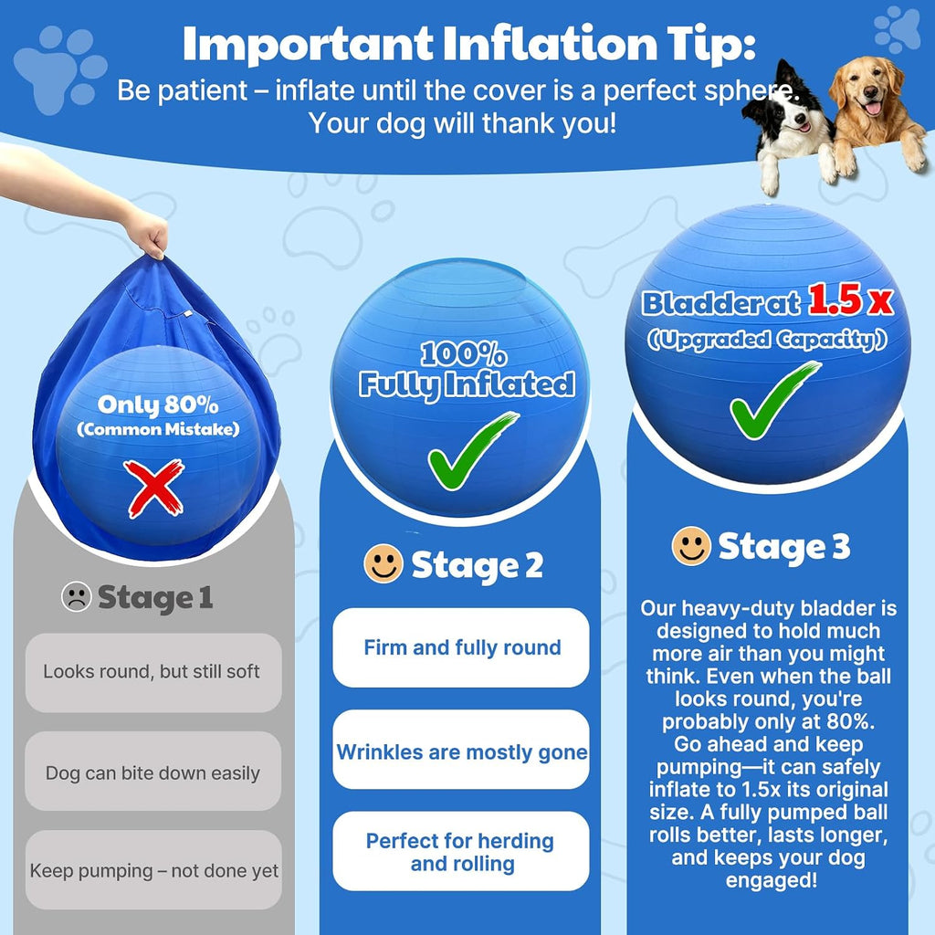 Bugarore Happypaw 3.0 durable blue dog toy for agility