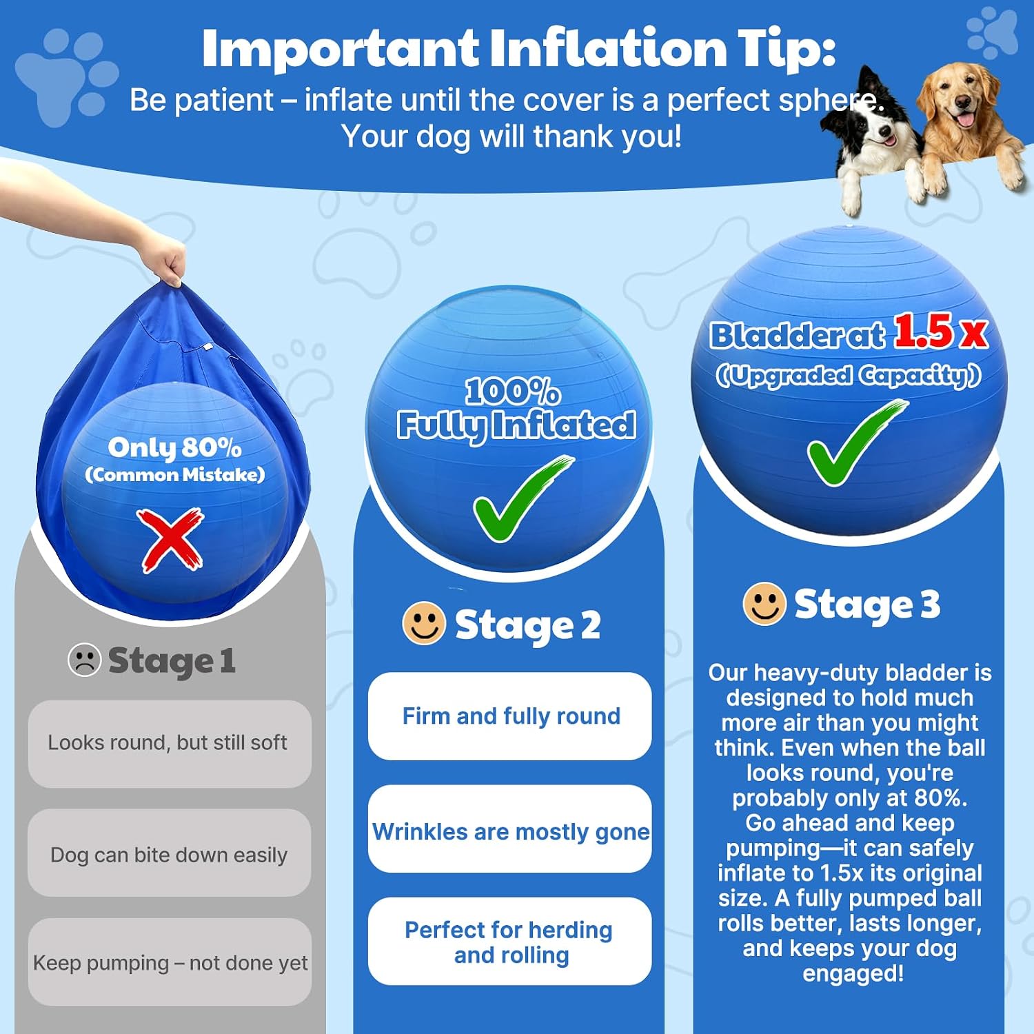 Bugarore Happypaw 3.0 durable blue dog toy for agility