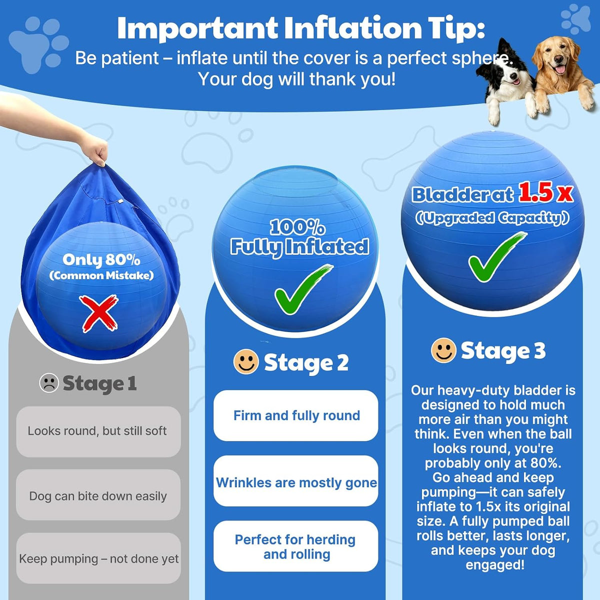 Bugarore Happypaw 3.0 durable blue dog toy for agility