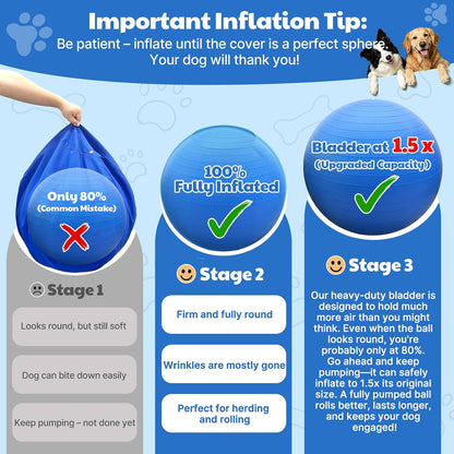 Bugarore Happypaw 3.0 durable blue dog toy for agility