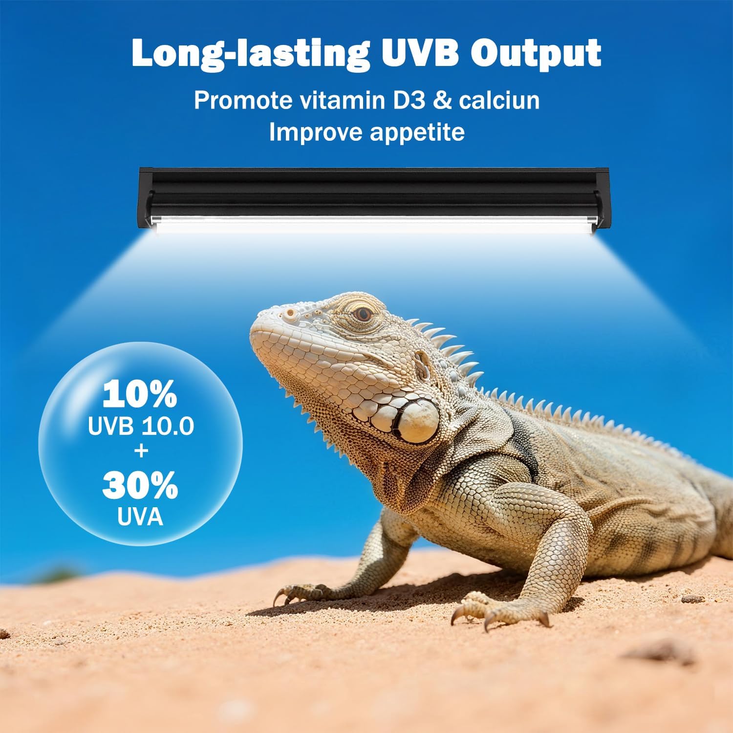 Homnebila desert lizard UV lighting kit highlighting the 10 percent UVB and 30 percent UVA output.