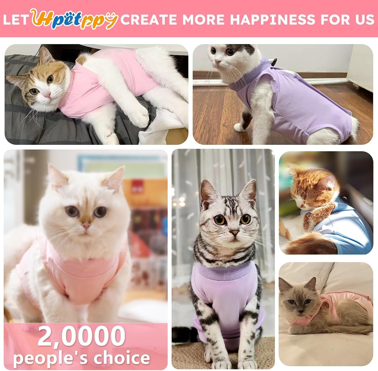 Back view of Hpetppy cat surgery suit showing secure spine closures