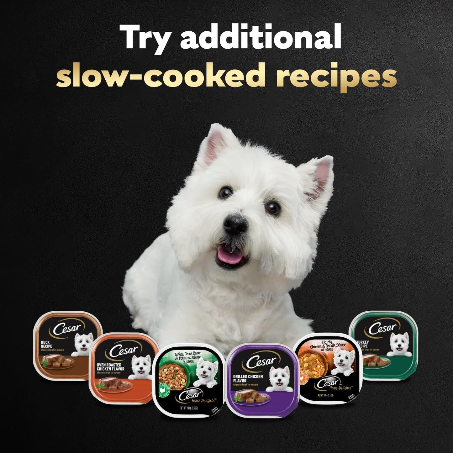 Cesar adult wet dog food three point five ounce easy peel trays side profile view.