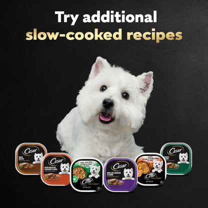 Cesar adult wet dog food three point five ounce easy peel trays side profile view.