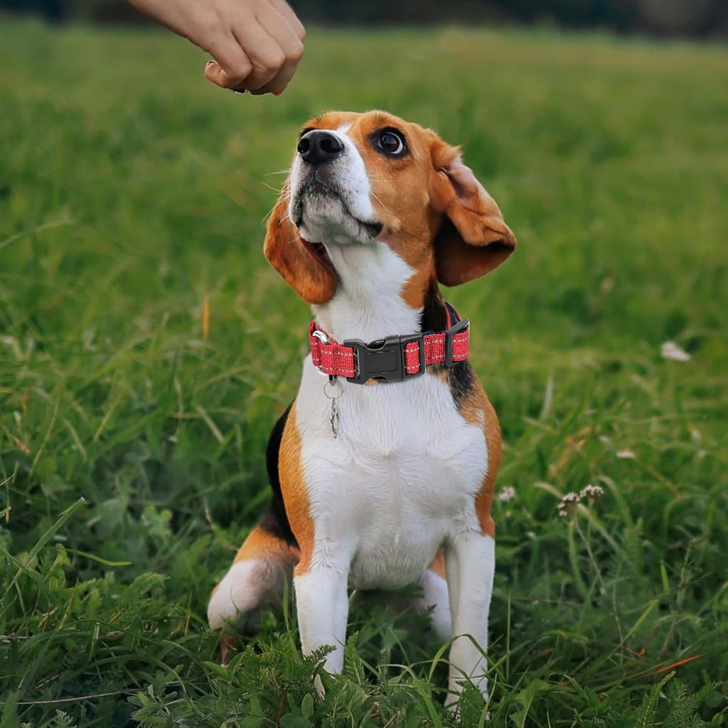 GDLKPS adjustable no-pull training collar with soft breathable padding close-up.