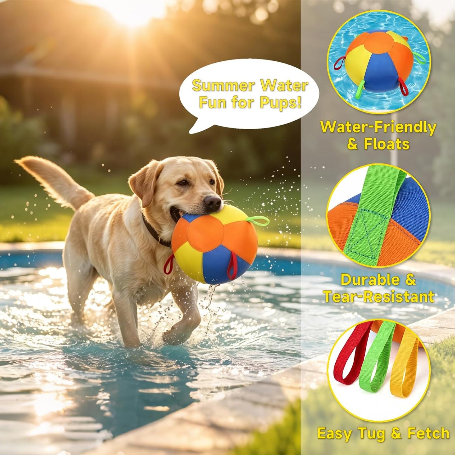 Interactive outdoor play with PawWorn herding ball
