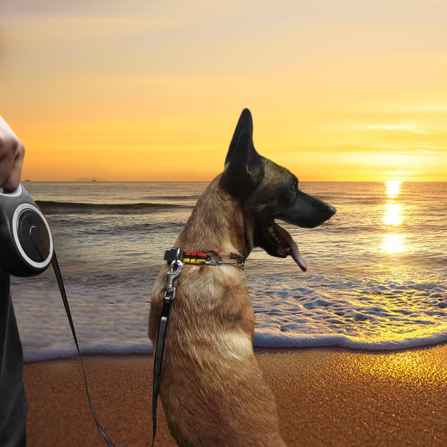 Authentic Mk-Def retractable dog leash packaging view