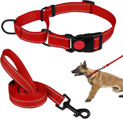 Martingale Dog Collar and Leash Set Martingale Collars for Dogs Reflective Martingale Collar for Small Medium Large Dogs(Hot Pink&L) - Image 10