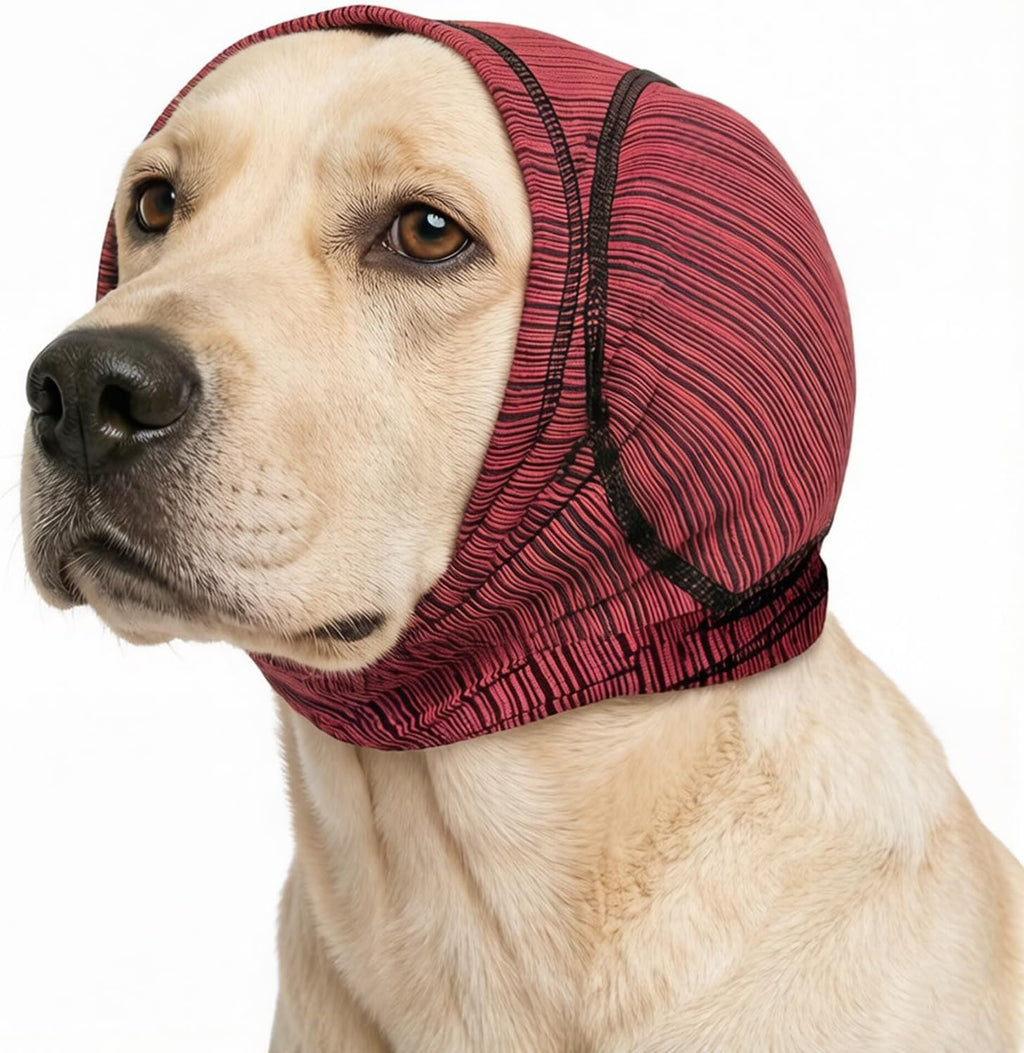 Pawrixa large dog ear muffs in red and black stripes front view on a golden retriever.