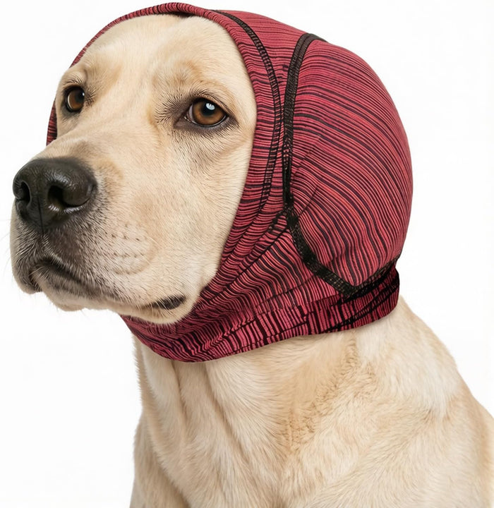 Pawrixa large dog ear muffs in red and black stripes front view on a golden retriever.