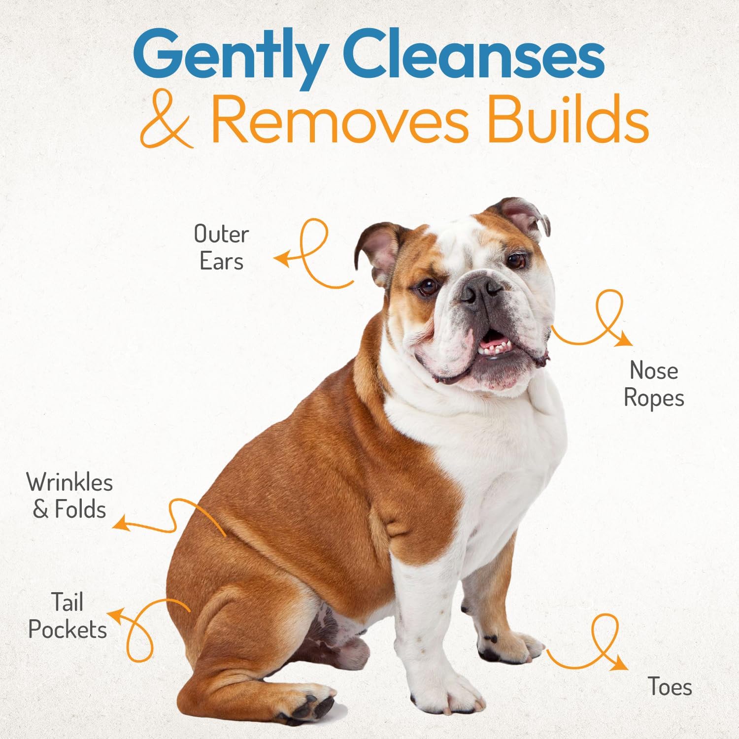 Large 3.15 inch pet wrinkle wipes ideal for flat faced breeds