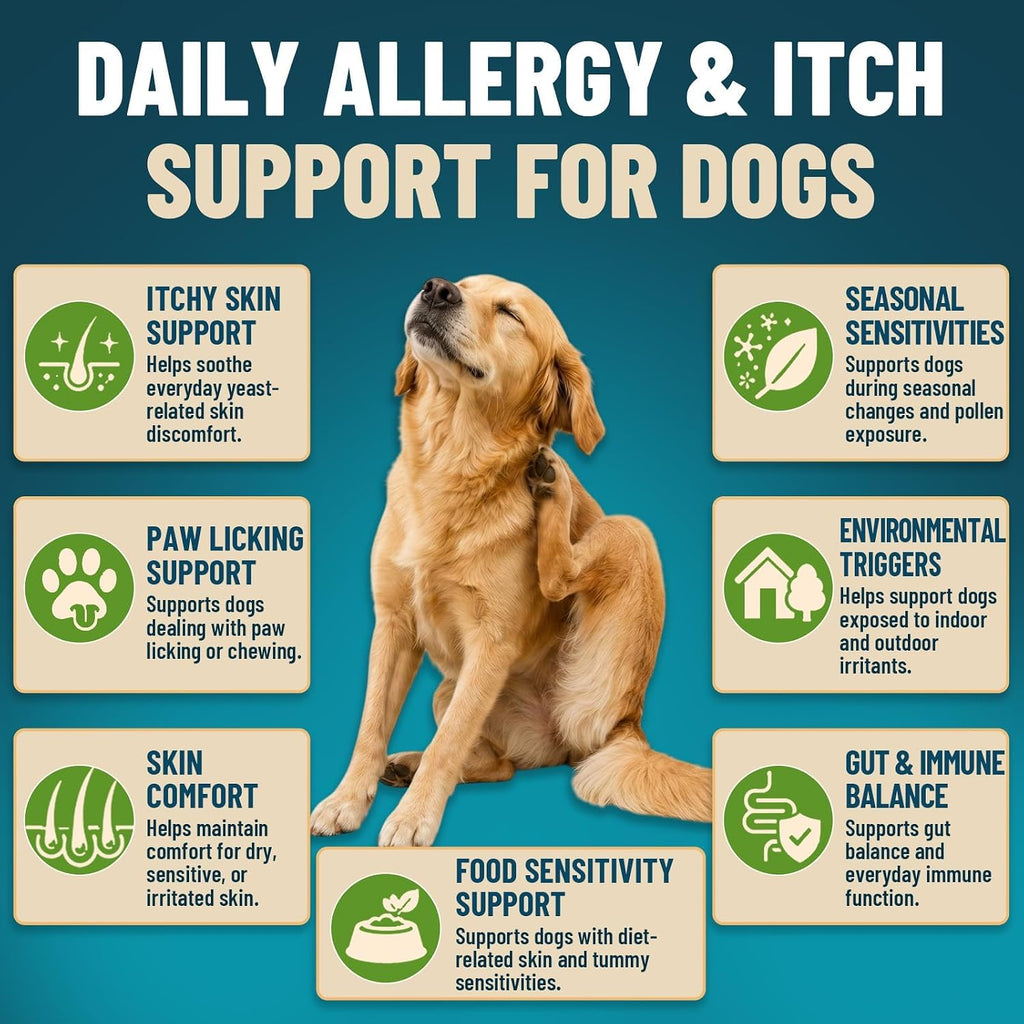 Authentic USA imported VICSOM soft chews for dog constipation and diarrhea support