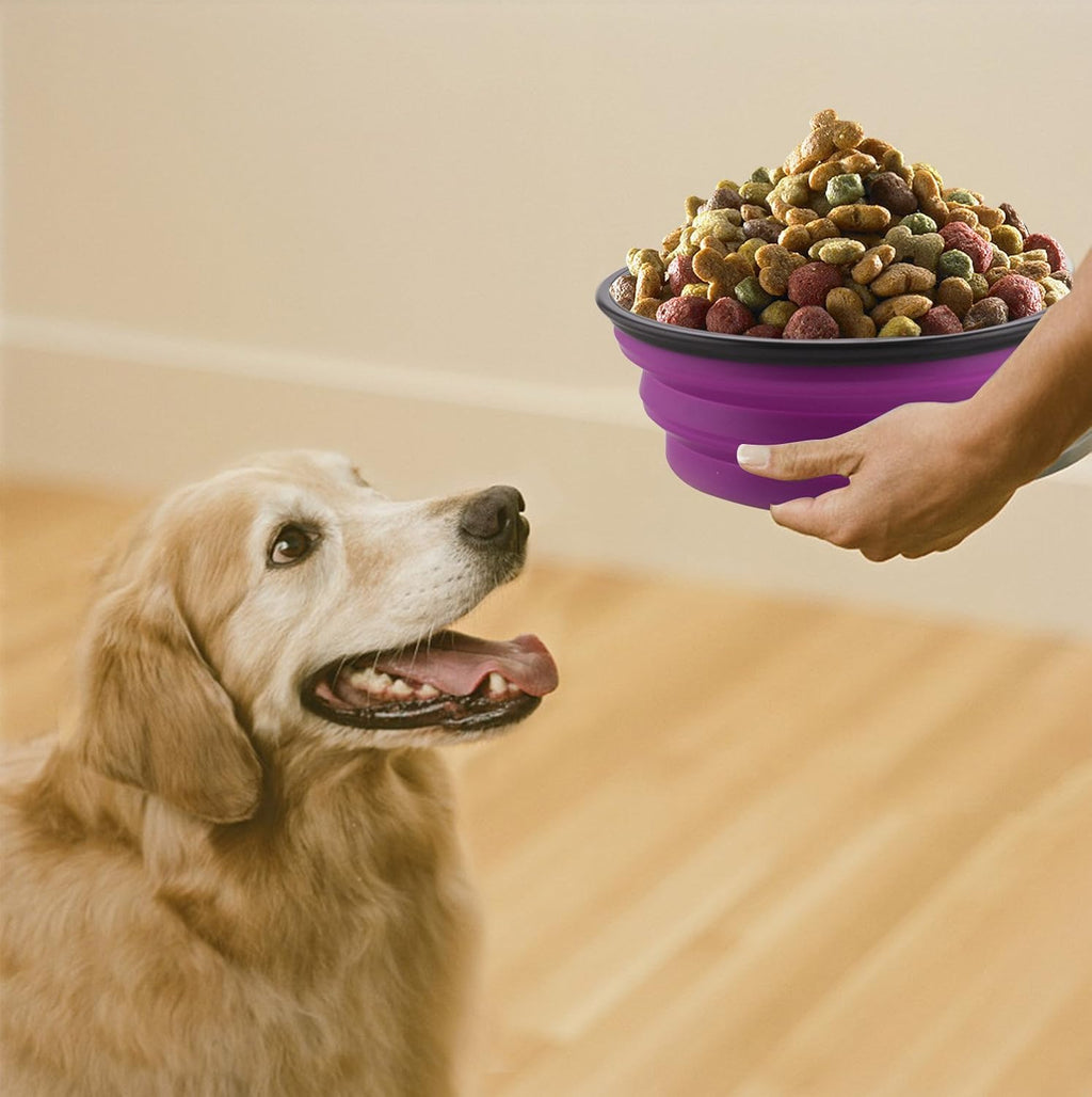 Guardians portable silicone water dish expanded and collapsed comparison
