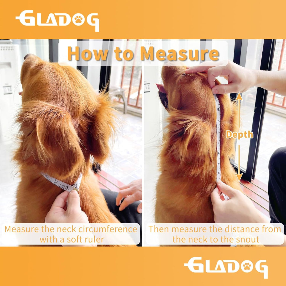 Comfortable Gladog protective pet collar preventing licking and biting.