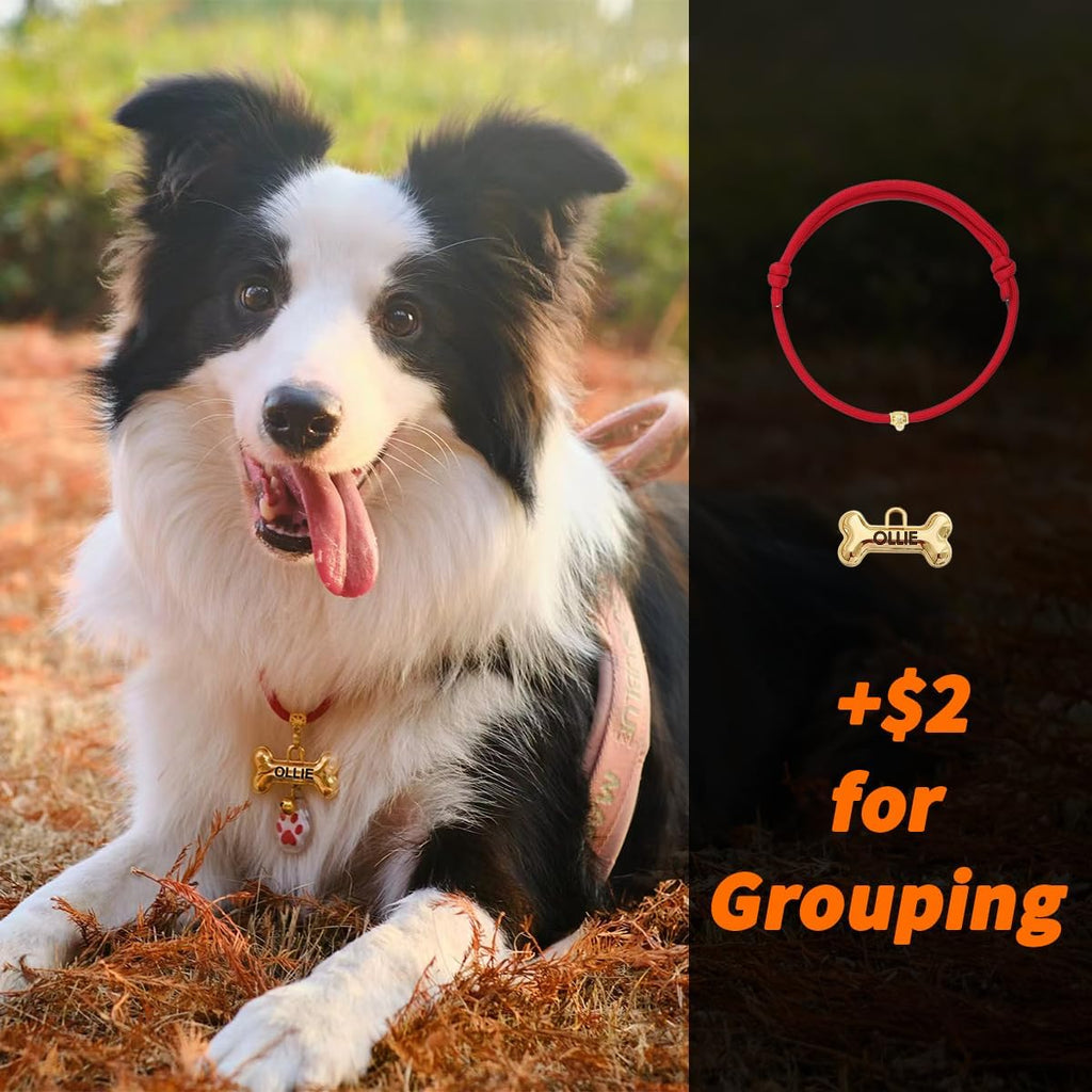 Premium personalized pet collar tag imported from the USA.