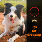 Premium personalized pet collar tag imported from the USA.