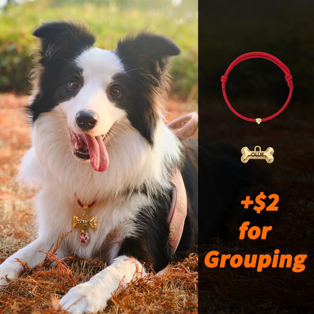 Premium personalized pet collar tag imported from the USA.