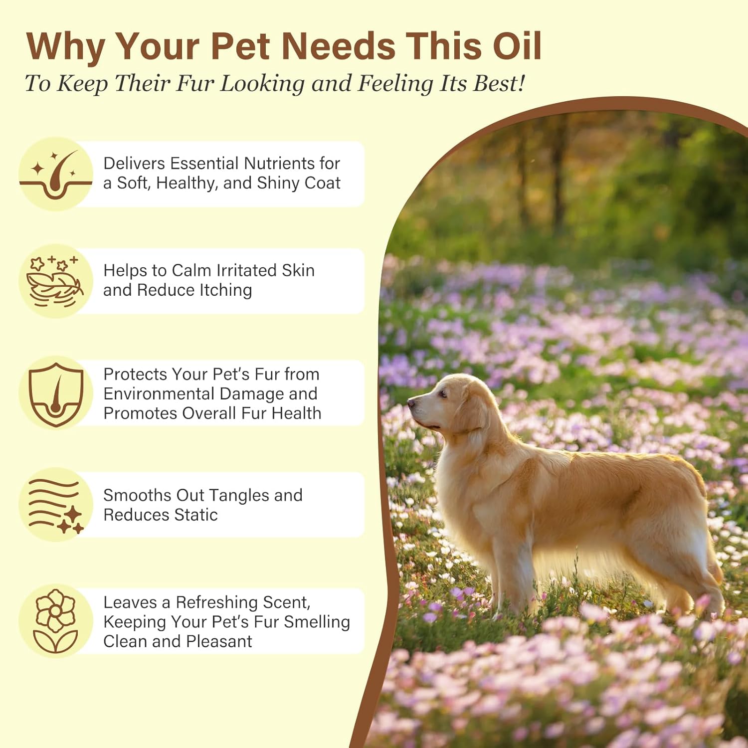Authentic imported pet fur care oil being massaged into cat fur