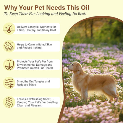 Authentic imported pet fur care oil being massaged into cat fur