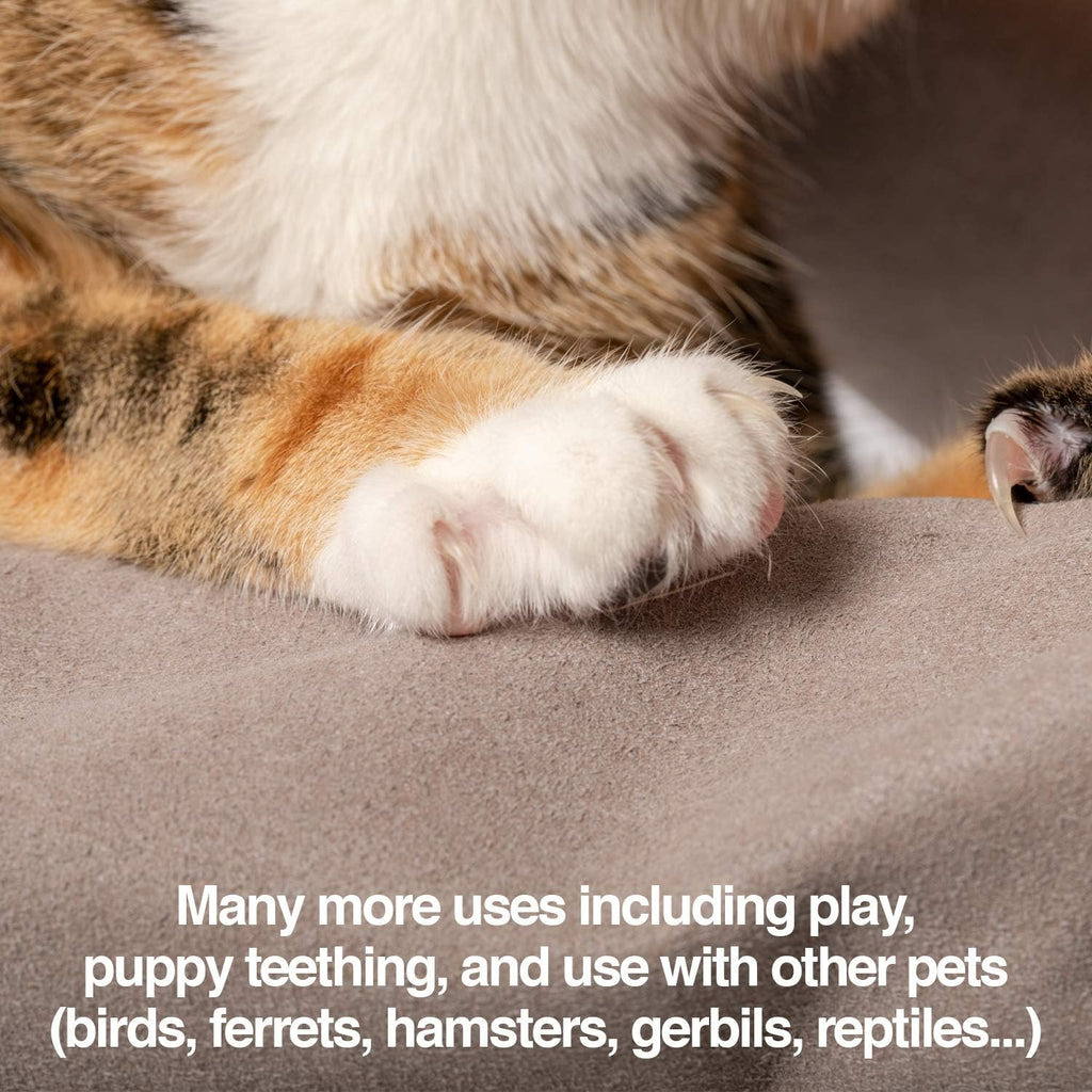 Premium imported USA pet care accessories and grooming equipment