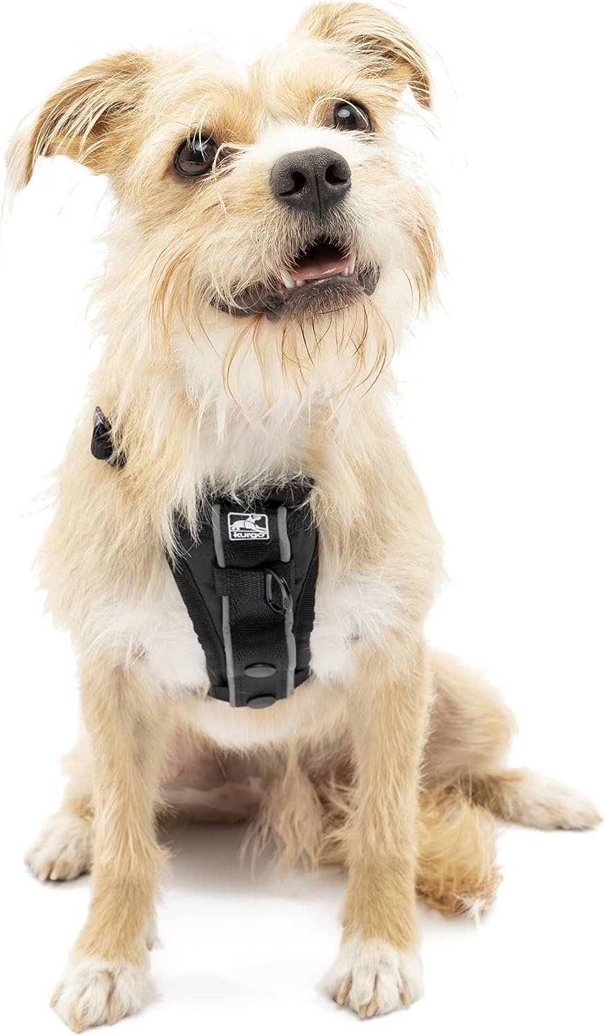 Back view of Kurgo Tru-Fit harness reflective details