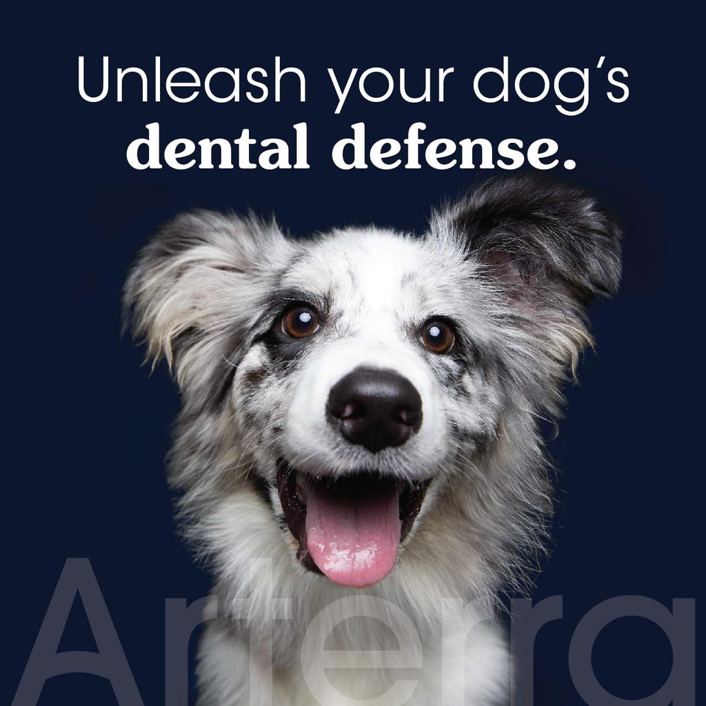 Arterra Pet Science vet-grade dog toothpaste tube