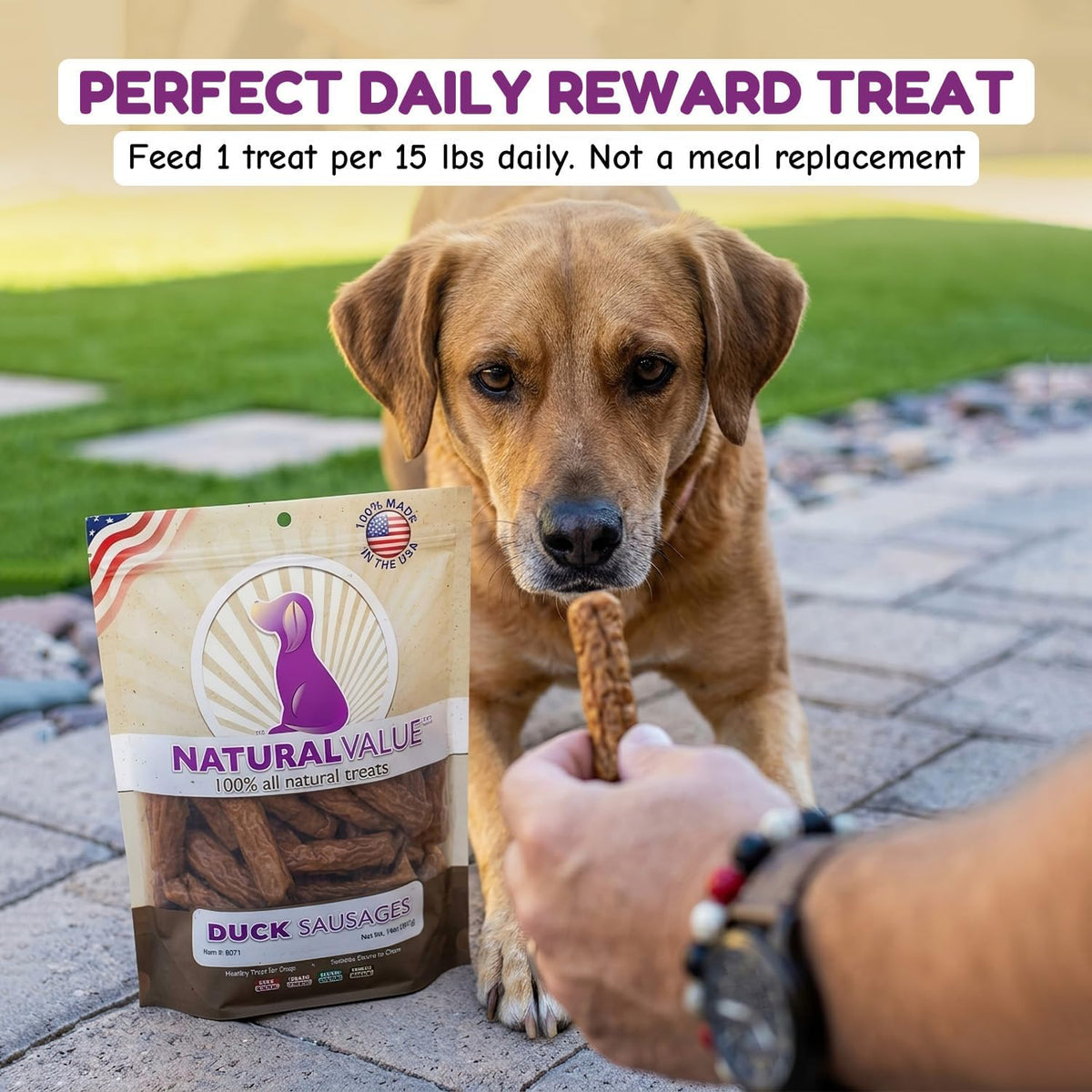 Gluten free and soy free duck sausage treats for pets