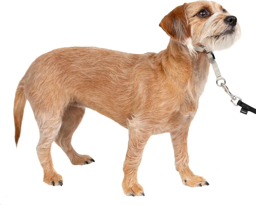 PetSafe Gentle Leader No-Pull Dog Headcollar - The Ultimate Solution to Pulling - Redirects Your Dog's Pulling for Easier Walks - Helps You Regain Control - Medium, Black - Image 12