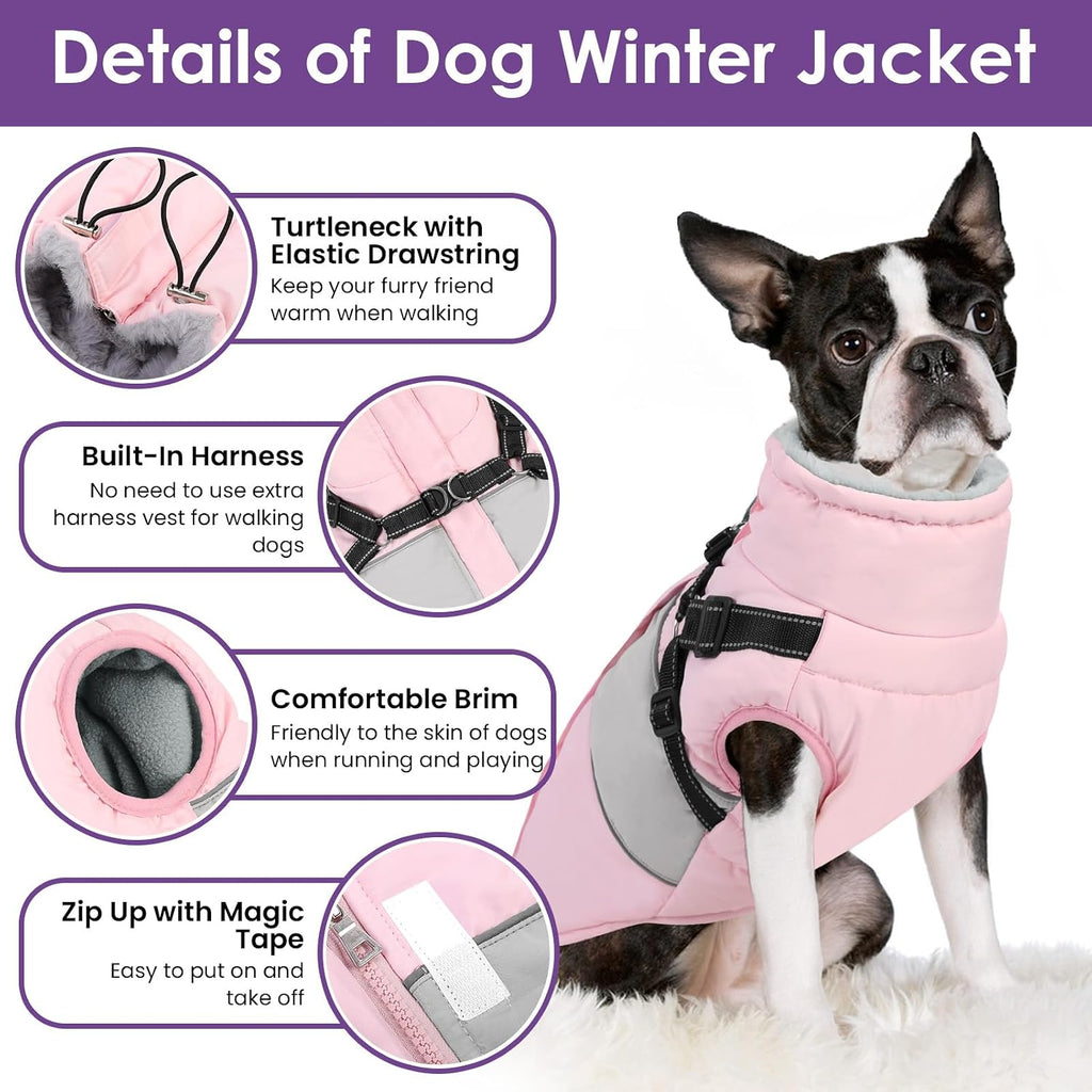 SUNFURA reflective pet coat demonstrating the bright visibility strips illuminating under low-light conditions.