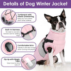 SUNFURA reflective pet coat demonstrating the bright visibility strips illuminating under low-light conditions.