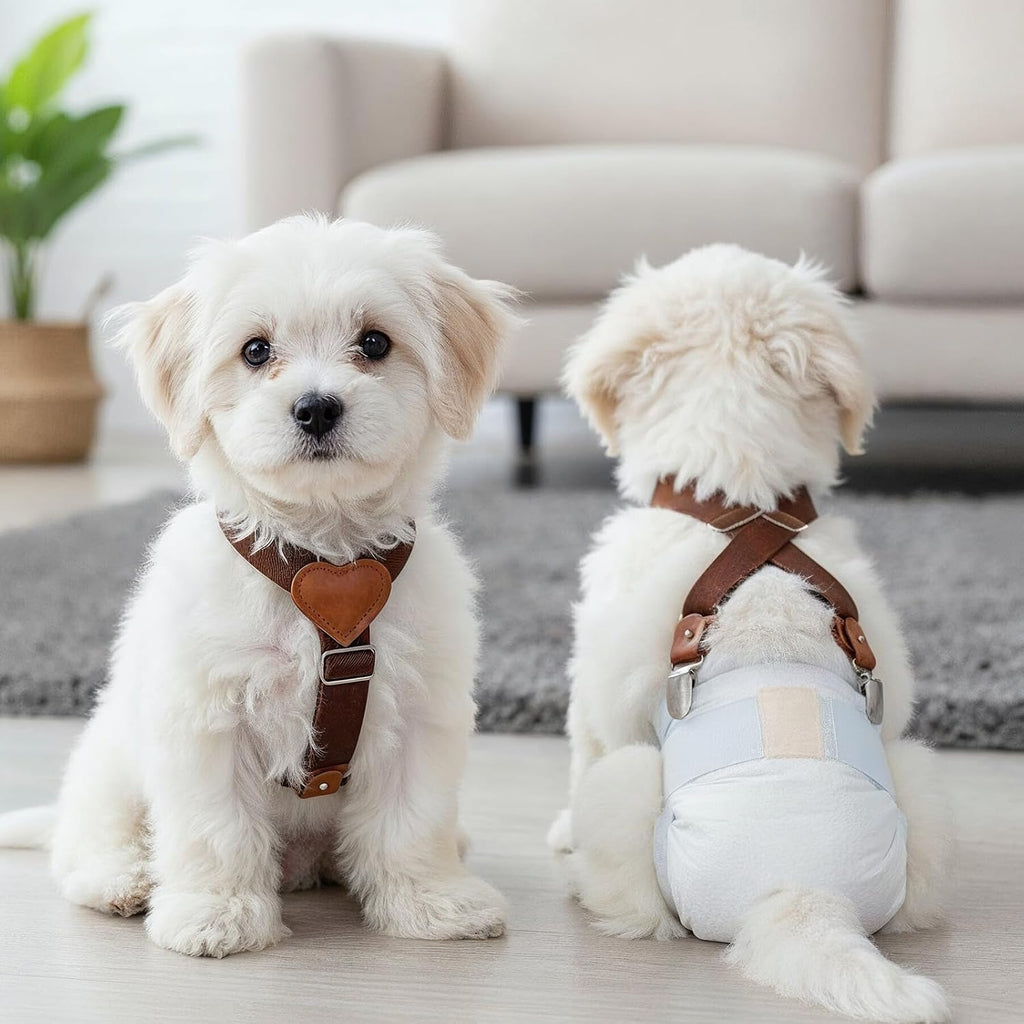 Durable alloy clasps and flexible elastic webbing pet suspenders pack