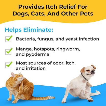 Smiling Paws Pets 50 count wet wipes container on a clean background.