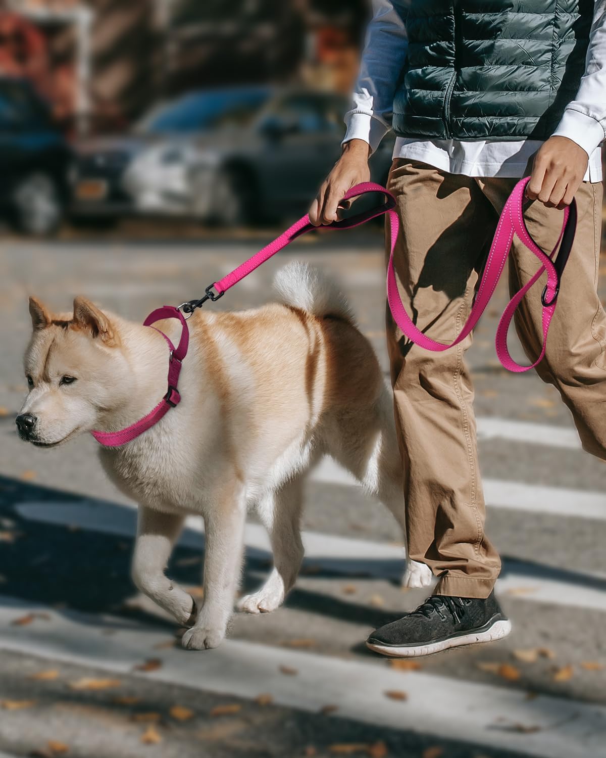 FunTags hotpink escape proof dog collar close up on lockable buckle