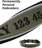 Close up of Indink reflective dog collar stitching and metal buckle