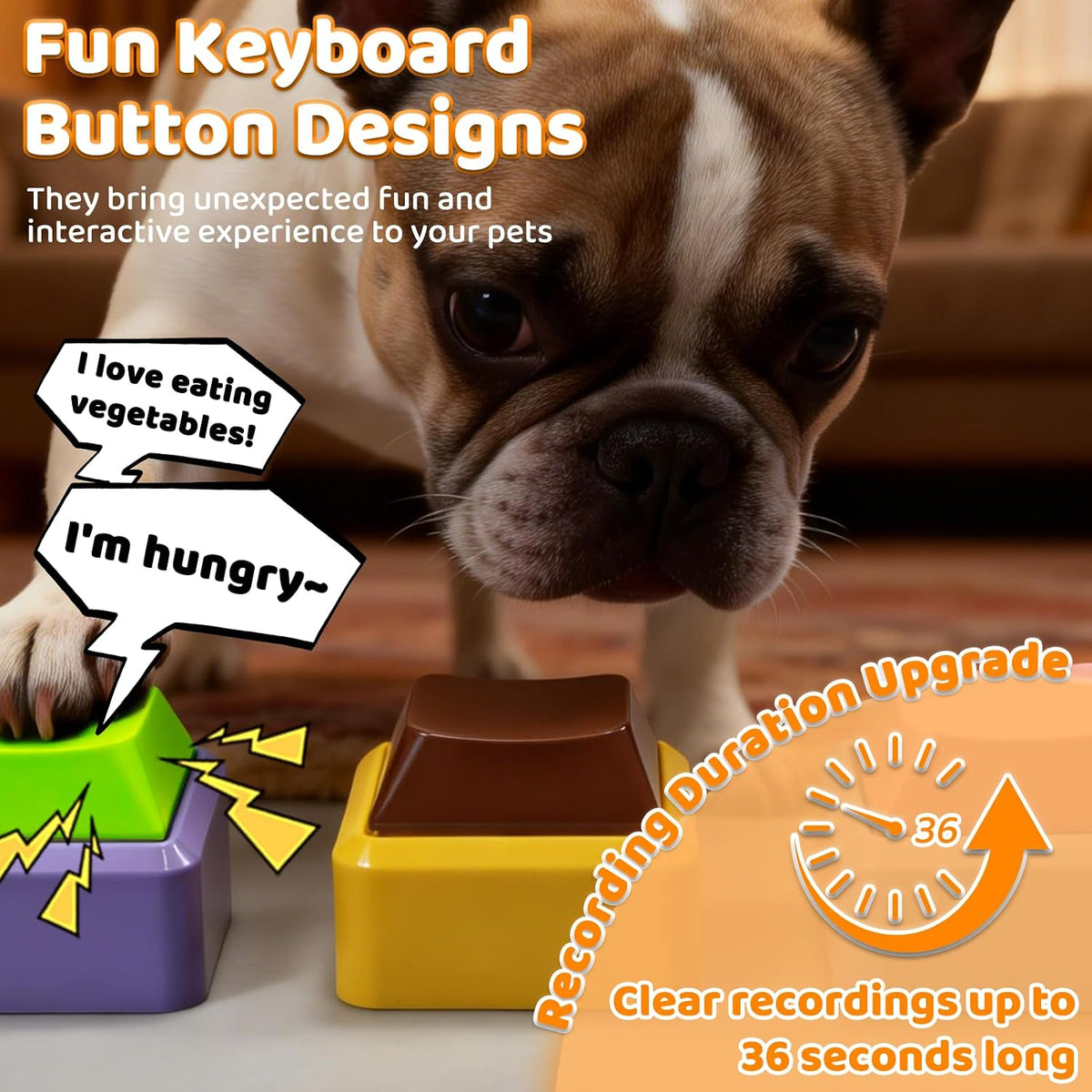 A dog pressing its paw onto the premium XIFOWE voice recordable button.