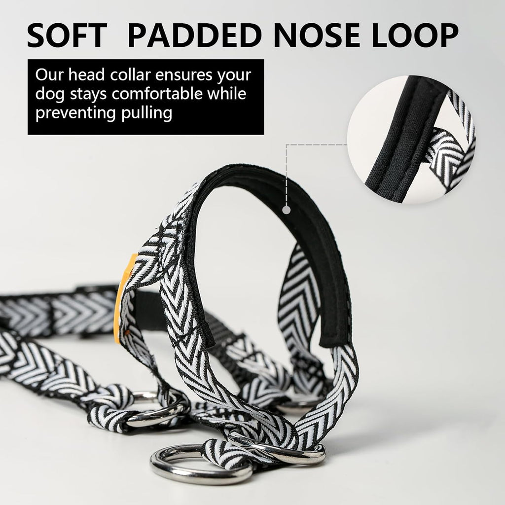 Close-up of the quick-release buckle and chrome-plated D-ring leash attachment