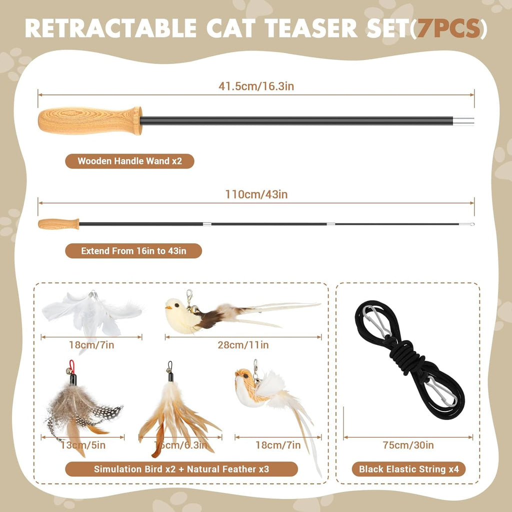 Extendable cat fishing pole toy with bird attachment