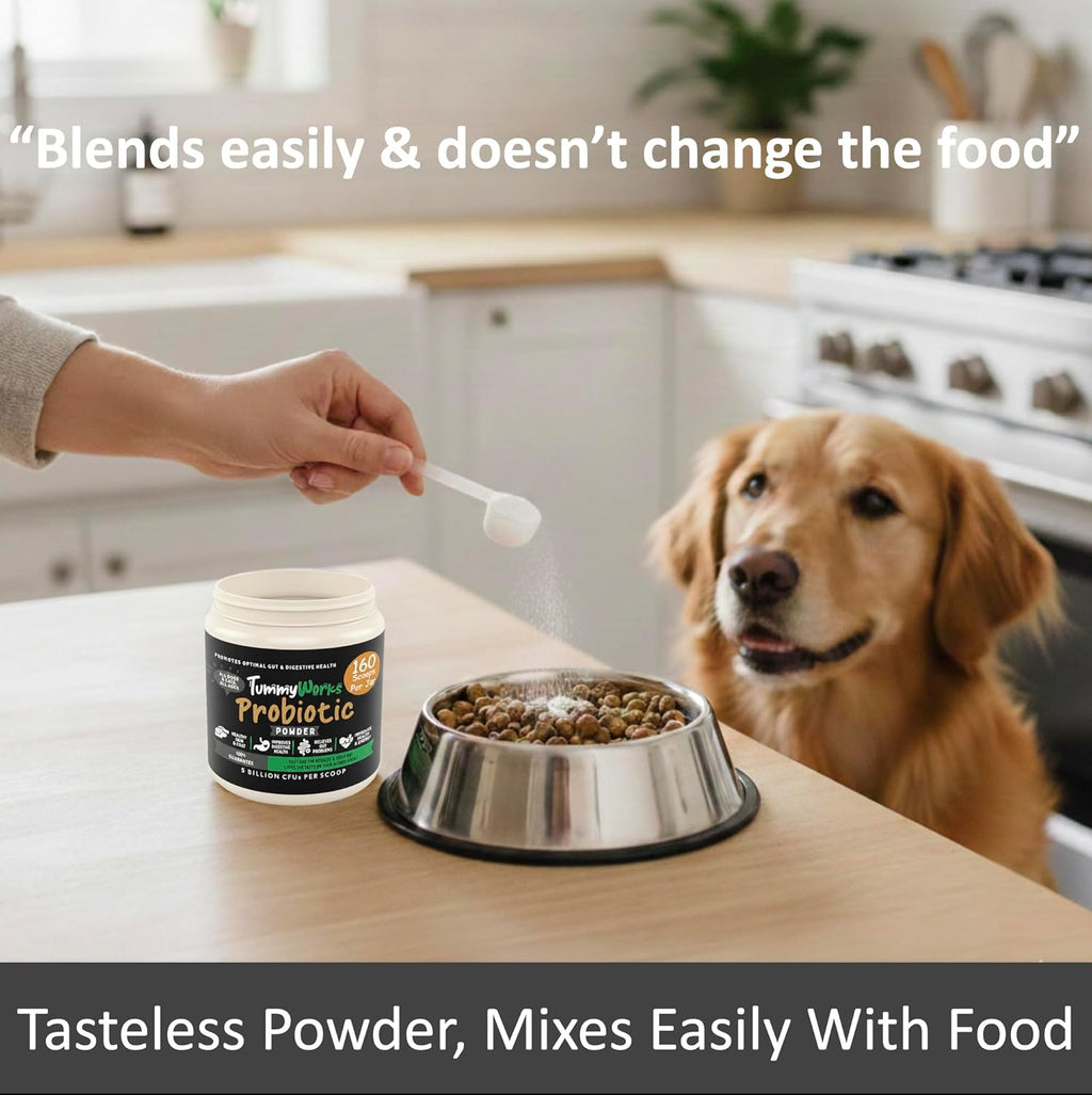 Pharmacist formulated TummyWorks probiotic powder ingredients list view.
