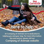 Close up of Pet Corrector 30ml spray nozzle