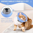 Toptakeit cat cone collar being adjusted for a small kitten's secure fit.