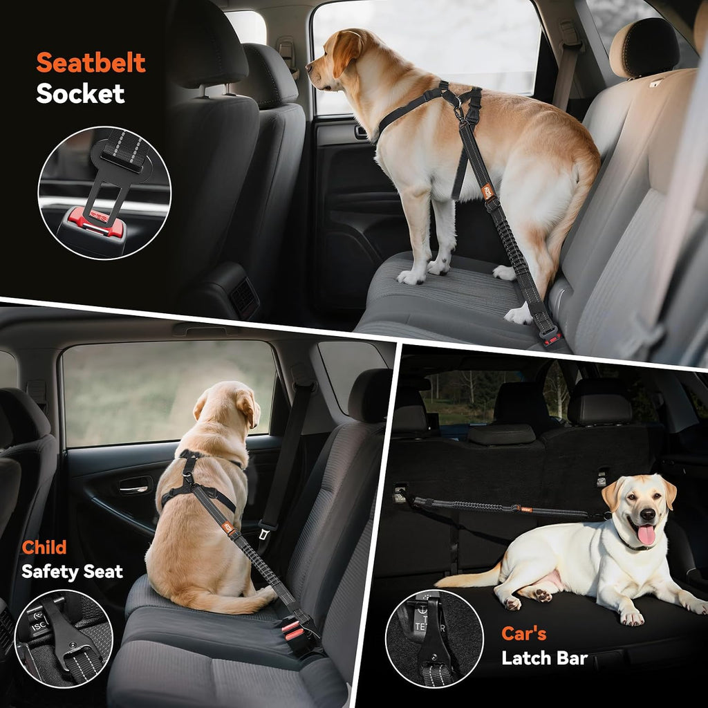 Tivray reflective pet vehicle leash full length view