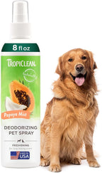 TropiClean Dog Perfume, Papaya Scented Dog Deodorizing Spray, 3X Long-Lasting Scent, After Bath Cologne & Detangling Spray with Vitamin E, 10oz. - Image 11