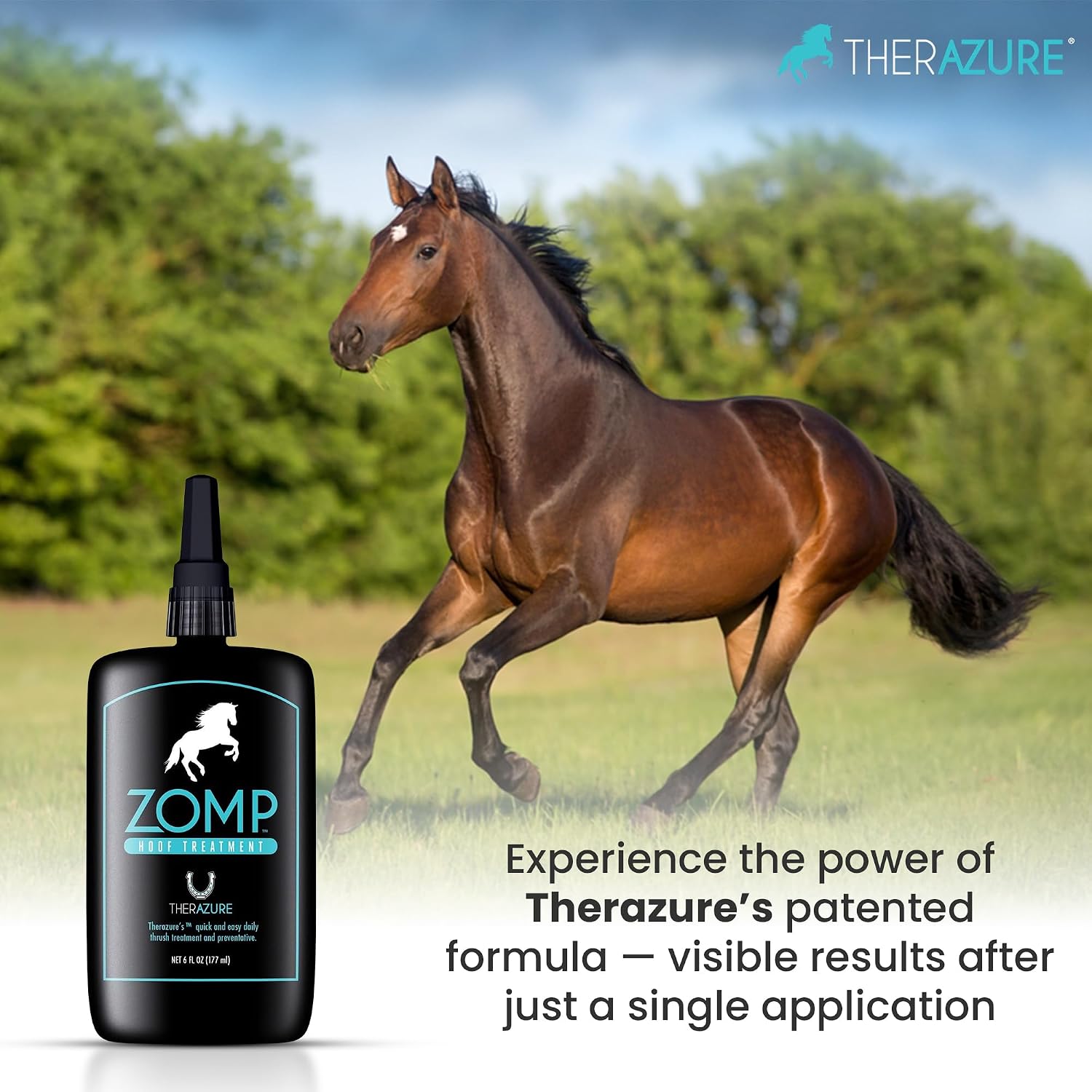 Farrier approved horse hoof thrush remedy spray back label view.