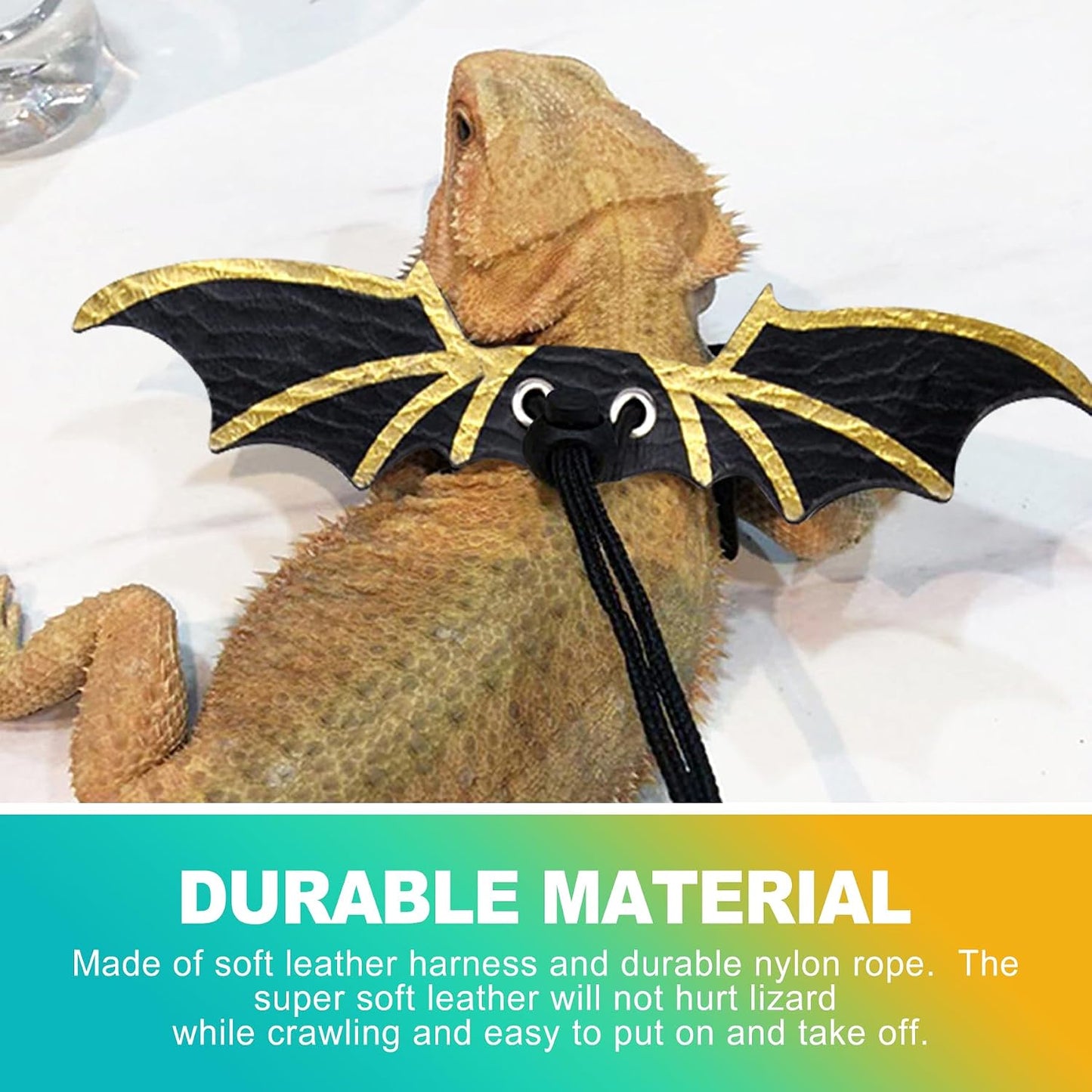 Durable nylon walking rope leash with metallic clip attached to a reptile harness
