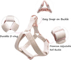 Adjustable straps on small Aring Pet dog harness