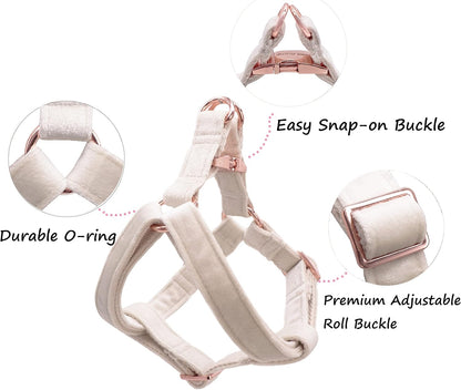 Adjustable straps on small Aring Pet dog harness