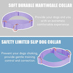 AaufiLux adjustable purple training collar with rose gold hardware