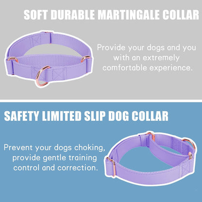 AaufiLux adjustable purple training collar with rose gold hardware