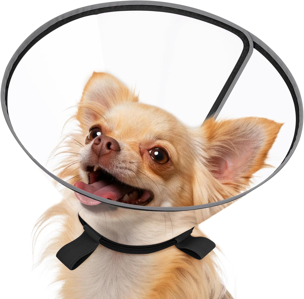 Didopet clear dog cone front view for small breeds